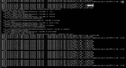 Testportal8 (Black, L)